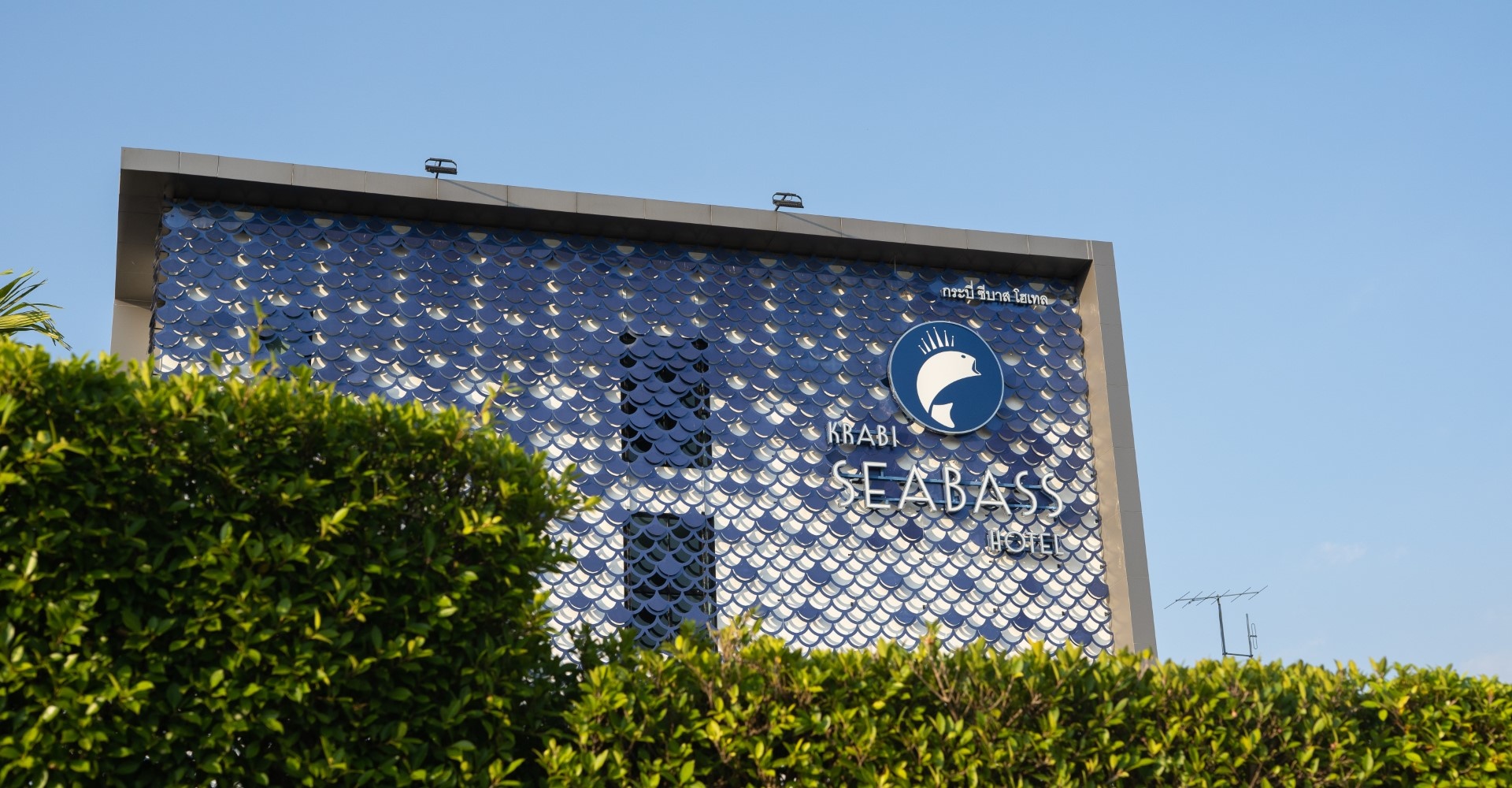 Hotel Slider Pictures